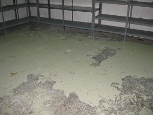 failed epoxy floor